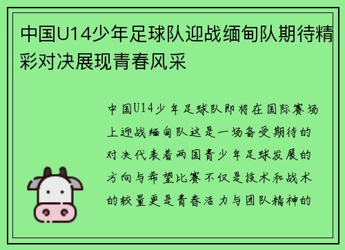 中国U14少年足球队迎战缅甸队期待精彩对决展现青春风采